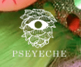PsEYEche